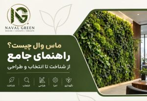 راهنمای جامع انتخاب ماس وال