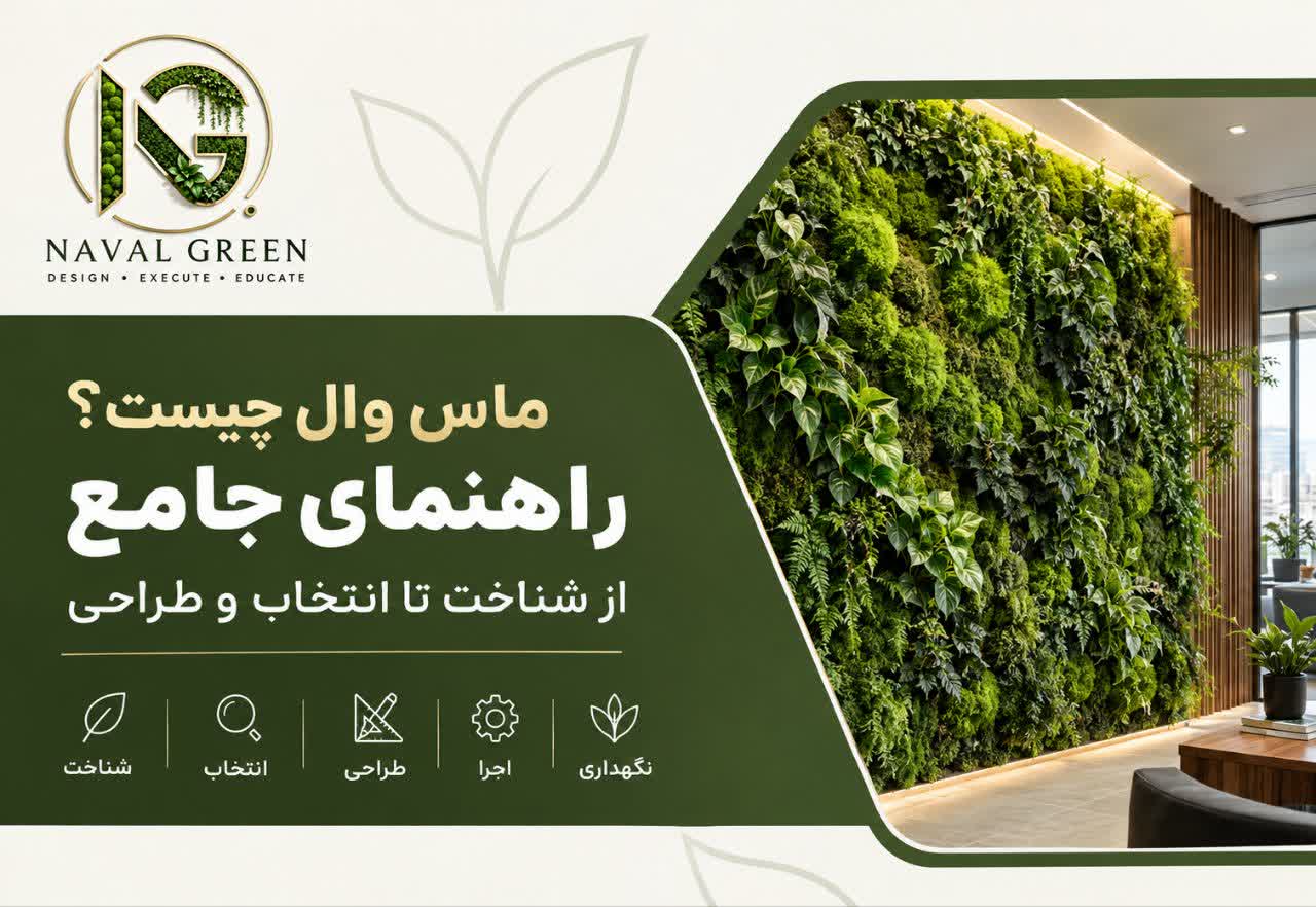 راهنمای جامع انتخاب ماس وال